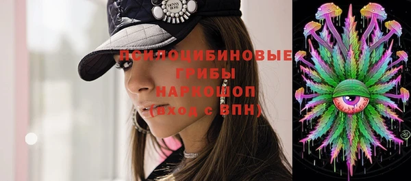 а пвп мука Алзамай