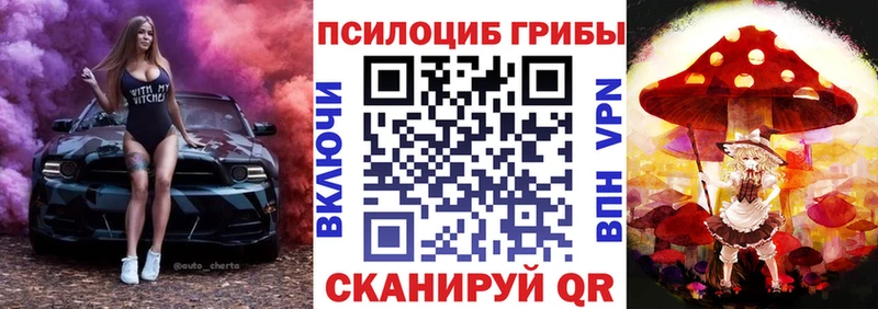 цены наркотик  Новая Ладога  Галлюциногенные грибы мицелий 
